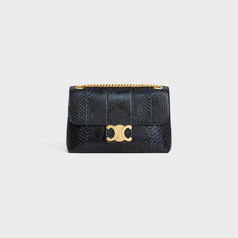 Medium Celine Victoire Bag IN Python - Image 1